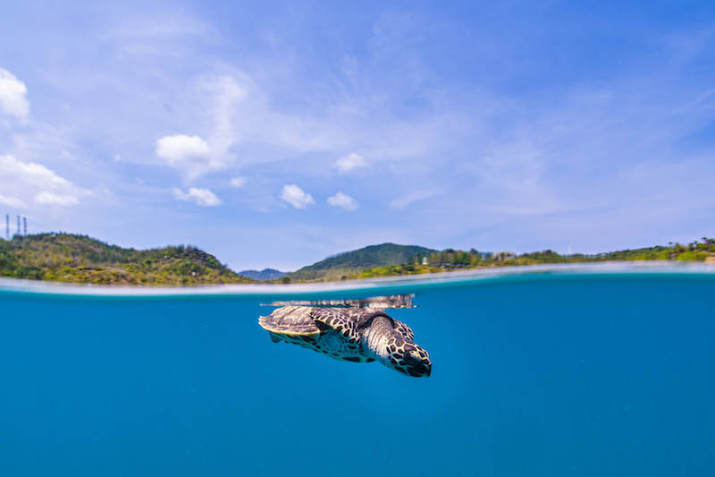 THAÏLANDE - APRÈS PHUKET, KO SAMUI ACCUEILLE À NOUVEAU LES TOURISTES DEPUIS LE 15 JUILLET