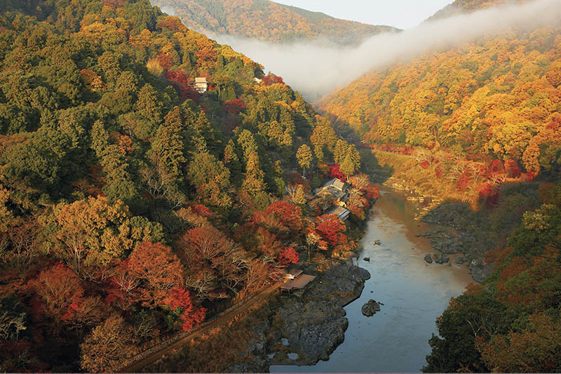 JAPON, VOYAGE AU PAYS DES ONSEN